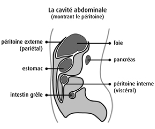Les exercices pour la presse à lombaire osteokhondroze